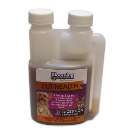 Blooming Pets Gut Health **
