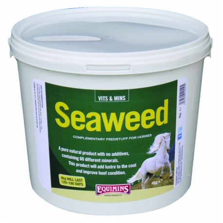 Equimins Seaweed